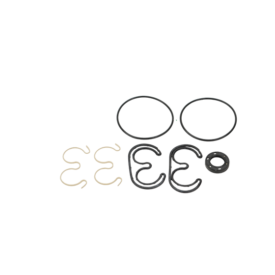 JLG Seal Kit 7007489