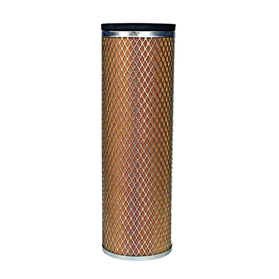 Fleetguard Filter AF1623