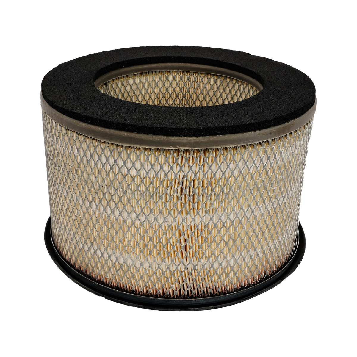 Fleetguard Filter AF1675