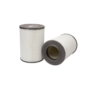 Fleetguard Filter AF25359