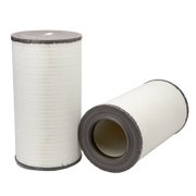 Fleetguard Filter, Air AF25619