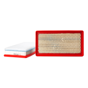 Fleetguard Air Filter AF25621