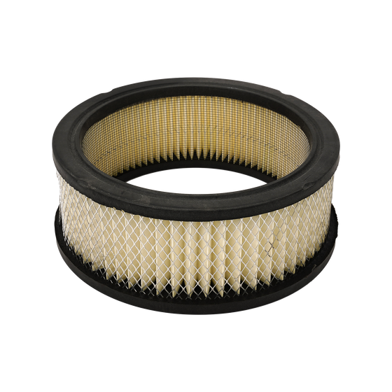 Fleetguard Filter AF308