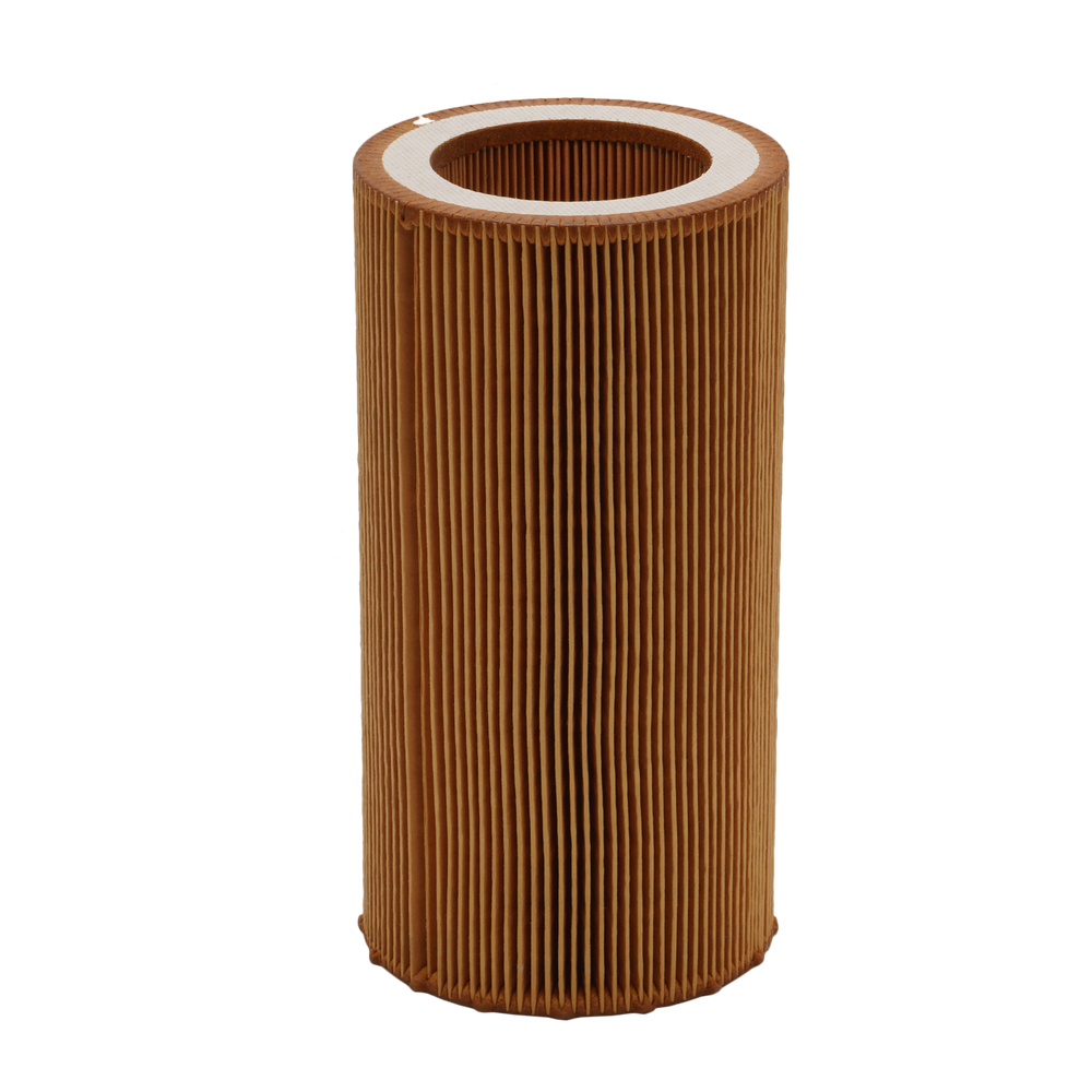 Mann Filter Filter C10050