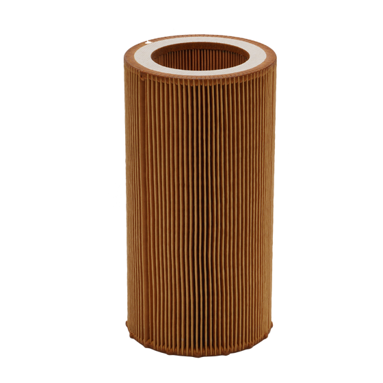 Mann Filter Filter C10050