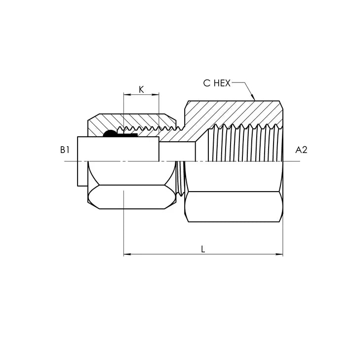C2405-08-08 | 08 BT - 08 FP Adapter Straight, Carbon Steel