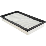 Baldwin Air Filter PA5669