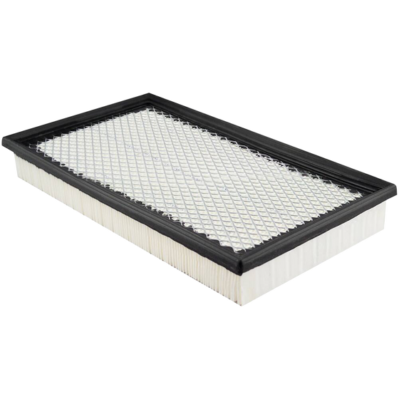 Baldwin Air Filter PA5669