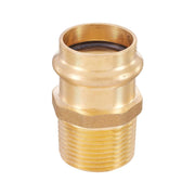 1" Press x 1" Male Brass Adapter (Lead Free)