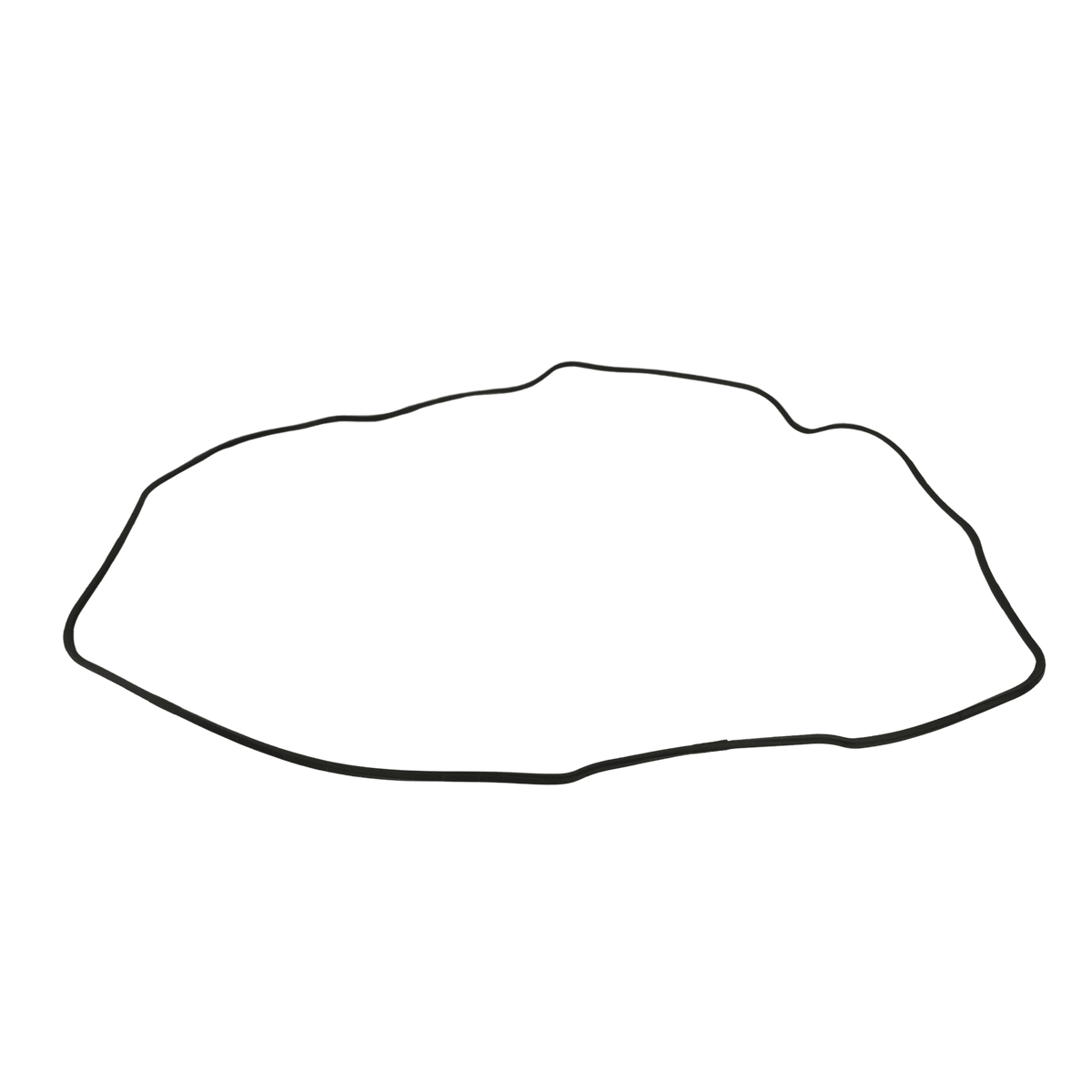 Takeuchi Bonnet Gasket Y129004-11310