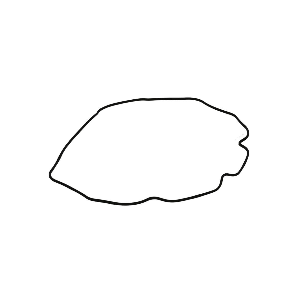 Takeuchi Bonnet Gasket Y129004-11310
