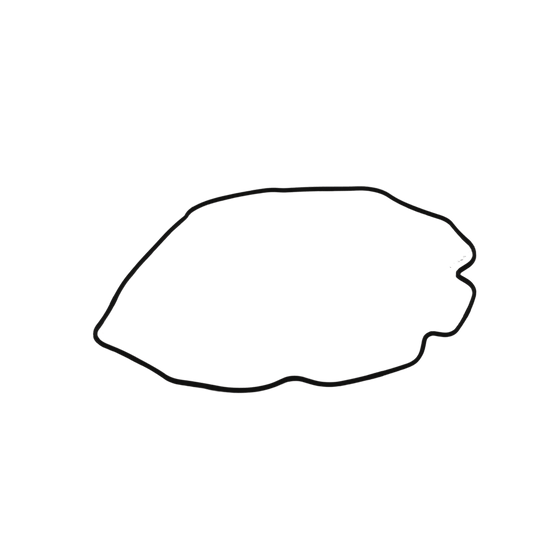 Takeuchi Bonnet Gasket Y129004-11310