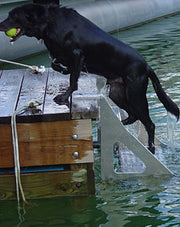 Dog Step Dock Ladder - 8900 product image