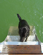 Dog Step Dock Ladder - 8900 product image