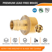 PEX A Full Flow Expansion Adapter 3/4" PEX x 1" Male Threaded F1960 Adapter (Lead Free)