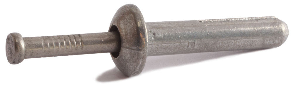 1/4 x 1 1/2 Stainless Steel Nail-in Anchor Mushroom (100)