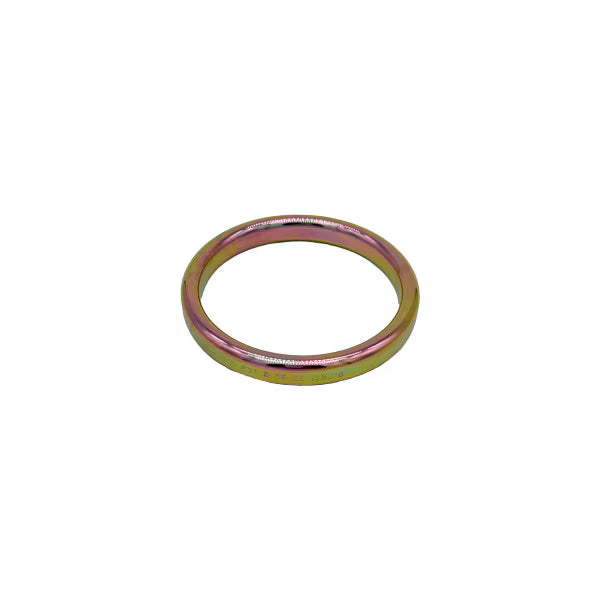 R-46-LCS | R46 LCS Ring Joint Gasket
